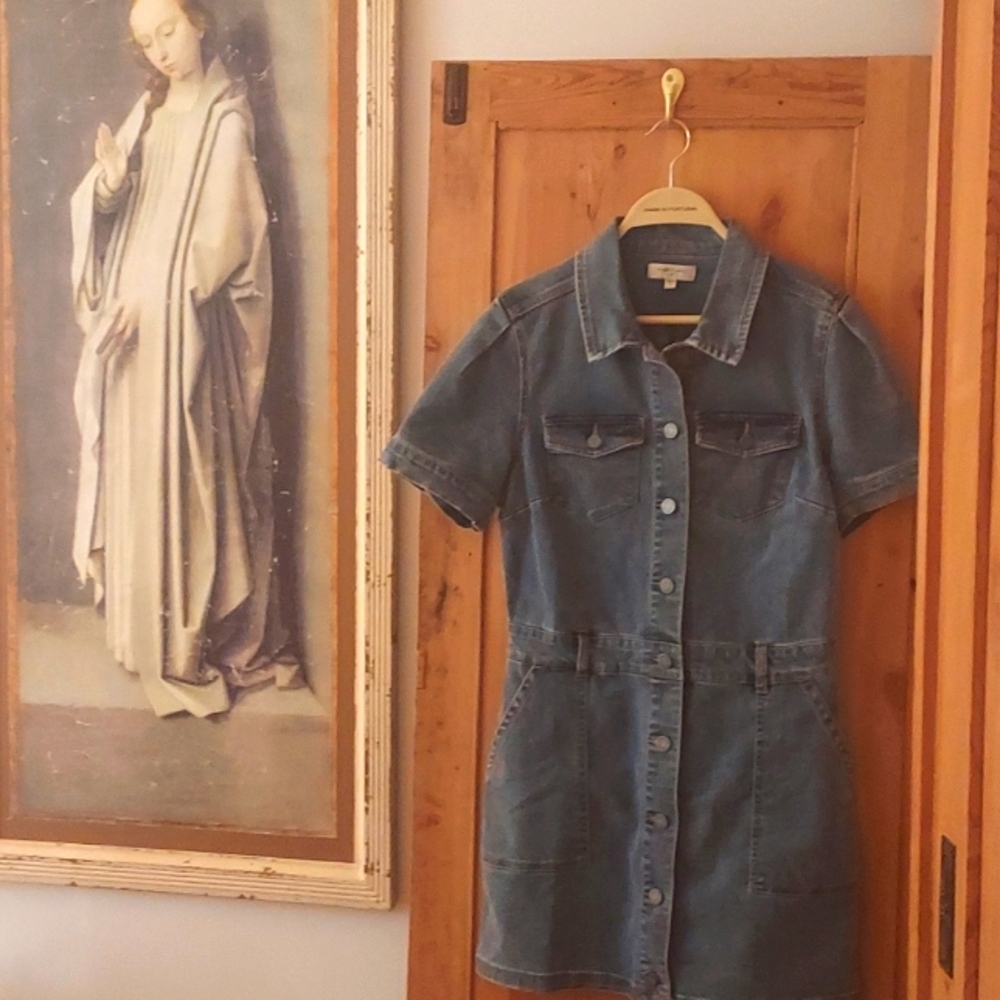 Habitual Denim Mini Dress